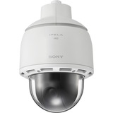 Sony SNCWR602C 1.3 Megapixel Network Camera - Color, Monochrome