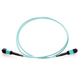 Axiom MPO Female to MPO Female Multimode OM4 50/125 Fiber Optic Cable - 3m - 9.8 ft (3 m) Fiber Optic Network Cable for Network Device - First End: 2 x MPO Network - Female - Second End: 2 x MPO Network - Female - 50/125 µm - Aqua
