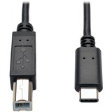 TRPU040006 - Tripp Lite 6ft USB 2.0 Hi-Speed Cable B Male t...
