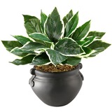 Image for nudell NuDell Artificial Hosta Plant