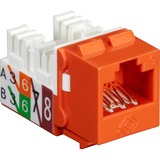 Black Box Orange Unshielded CAT6 Keystone Jack, 110 Punchdown, TAA