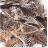 Creativity Street Natural Feathers