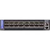 Mellanox Spectrum SN2100 Ethernet Switch