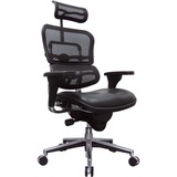 Eurotech ergohuman Leather Seat & Mesh Back