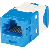 Panduit Mini-Com Network Connector - 24 Pack - 1 x RJ-45 Network Male - Blue
