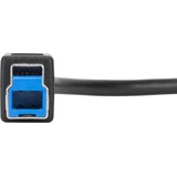 Targus 1-Meter USB-C to USB-B 5Gbps Cable