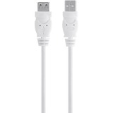 Belkin USB Extension Data Transfer Cable - 9.8 ft USB Data Transfer Cable - First End: USB 2.0 Type A - Second End: USB Type A - Extension Cable - White - 1 Each