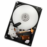 HGST Ultrastar A7K2000 HUA722020ALA330 2 TB Hard Drive - 3.5" Internal - SATA (SATA/300)