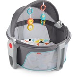FIPDRF13 - Fisher-Price On-The-Go Baby Dome