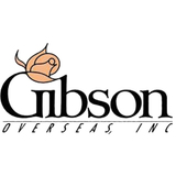 Gibson Elite Table Ware