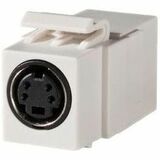 Ortronics Keystone, S-Video, Feed-Thru, Fog White - 1 x S-Video - female - Fog White (KSSVIDC)