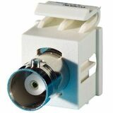 Image of Ortronics Bnc Connector Keystone Module, 180 Degree Exit, F/f, (50 Ohm), Fog White