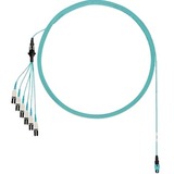 Panduit Fiber Optic Network Cable - 53 ft Fiber Optic Network Cable for Network Device - First End:...