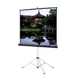 Da-Lite Picture King Portable and Tripod Projection Screen (Gray carpeted)