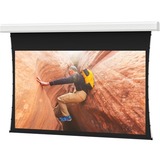 Da-Lite 70250L Projection Screens Tensioned Large Advantage Electrol Projection Screen 717068812437