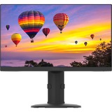 Planar PZN2410 24" Class Full HD LCD Monitor - 16:9