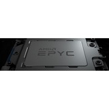 AMD EPYC (2nd Gen) 7532 Dotriaconta-core (32 Core) 2.40 GHz Processor - OEM Pack