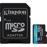 Kingston Canvas Go! Plus 256 GB Class 10/UHS-I (U3) V30 microSDXC - 170 MB/s Read - 90 MB/s Write - Lifetime Warranty