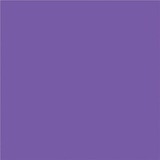 NAPP Construction Paper - Construction - 12" (304.80 mm)Height x 9" (228.60 mm)Width - 48 / Pack - Violet