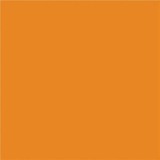 NAPP Construction Paper - Construction - 18" (457.20 mm)Height x 12" (304.80 mm)Width - 48 / Pack - Orange