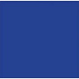 NAPP Construction Paper - Construction - 12" (304.80 mm)Height x 9" (228.60 mm)Width - 48 / Pack - Dark Blue