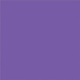 NAPP Construction Paper - Construction - 18" (457.20 mm)Height x 12" (304.80 mm)Width - 48 / Pack - Violet