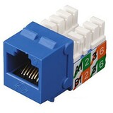 Black Box GigaTrue2 Cat. 6 Universal Wiring Jack - 1 - RJ-45 Network Female - Blue (FMT630-R2)