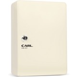 CUI80038 - CARL Steel Security Key Cabinet
