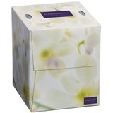 Embassy® 2-Ply Cube Facial Tissue - 2 Ply - White - 2-ply, Anti-contamination - For Face, Bathroom Per Pack - 100 / Pack