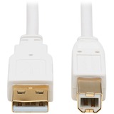Tripp Lite by Eaton Safe-IT USB-A to USB-B Antibacterial Cable (M/M), USB 2.0, White, 10 ft.
