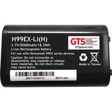 Global Technology Systems H99EX-LI(H)-50 Batteries Gts Battery - For Mobile Computer - Battery Rechargeable - 5000 Mah - 3.7 V Dc - 50 Pack H99ex-li(h) H99exlih50 