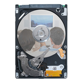 Seagate Pipeline HD Mini ST9250311CS 250 GB Hard Drive - 3.5