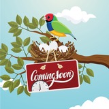 ViewSonic ViewBoard VPC25-W53-P1 Digital Signage Appliance - Intel Core i5 i5-10400T 2 GHz - 16 GB DDR4 SDRAM - 256 GB SSD - 2160p - HDMI - USB - Wireless LAN - Bluetooth - Ethernet - Windows 10 Pro (64-bit)