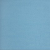 NAPP Colour Cardstock - 22" (558.80 mm)Width x 28" (711.20 mm)Length - 48 / Box - Light Blue