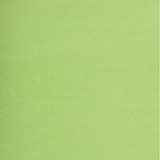 NAPP Card Stock - 22" (558.80 mm)Width x 28" (711.20 mm)Length - 48 / Box - Light Green