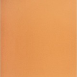 NAPP Card Stock - 22" (558.80 mm)Width x 28" (711.20 mm)Length - 48 / Box - Orange