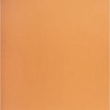 NAPP Colour Cardstock - 22" (558.80 mm)Width x 28" (711.20 mm)Length - 48 / Box - Orange