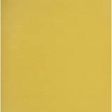 NAPP Card Stock - 22" (558.80 mm)Width x 28" (711.20 mm)Length - 48 / Box - Yellow