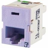 Ortronics Clarity TracJack (TJ), Cat 5E, T568A/B, purple - 1 x RJ-45 Network - Female - Purple...