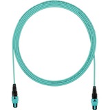 Panduit FRZUPEEX001F030 Cables Panduit Interconnect Fiber Optic Network Cable - 30 Ft Fiber Optic Network Cable For Network Device  