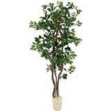 NUDT7781 - nudell 6ft Artificial Green Ficus Tree