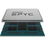 HPE AMD EPYC 9004 (4th Gen) 9554 Tetrahexaconta-core (64 Core) 3.10 GHz Processor Upgrade - 256 MB L3 Cache - 64-bit Processing - 3.75 GHz Overclocking Speed - Socket SP5 No Graphics - 360 W - 128 Threads