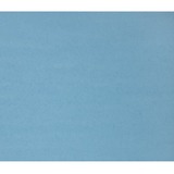 ACCO Bristol Board - 22" (558.80 mm)Width x 28" (711.20 mm)Length - 48 / Pack - Light Blue - Cardboard