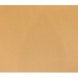 ACCO Bristol Board - 22" (558.80 mm)Width x 28" (711.20 mm)Length - 48 / Pack - Orange - Cardboard