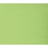 NAPP Colour Cardstock - 22" (558.80 mm)Width x 28" (711.20 mm)Length - 48 / Pack - Emerald - Cardboard