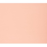 NAPP Colour Cardstock - 22" (558.80 mm)Width x 28" (711.20 mm)Length - 48 / Pack - Pink - Cardboard