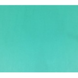 NAPP Colour Cardstock - 22" (558.80 mm)Width x 28" (711.20 mm)Length - 48 / Pack - Green - Cardboard