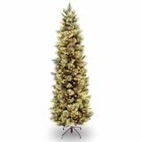 NLT729083952074 - National Tree Christmas Tree - Clear, Green