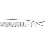 Kanguru Solid State Drive Duplicator