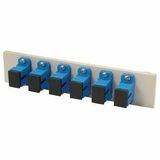 Ortronics Patch Panel Adapter Plate - 6 Port(s) - 6 x Simplex - Optical Fiber - Blue (62100047)